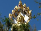 Naga head-on.JPG (120 KB)